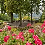 Weinberghotel Edelacker Freyburg