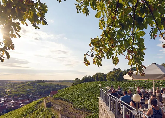 Weinberghotel Edelacker ホテル フライブルク